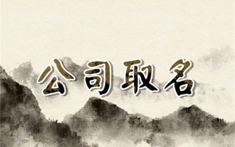 服饰公司起名大全两字(精选800个)