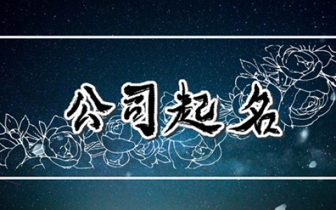 两个字的公司名称 专业的公司名称大全